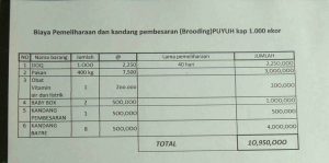 Perhitungan Sederhana Jumlah biaya Puyuh 1000 Ekor sampai Bertelur
