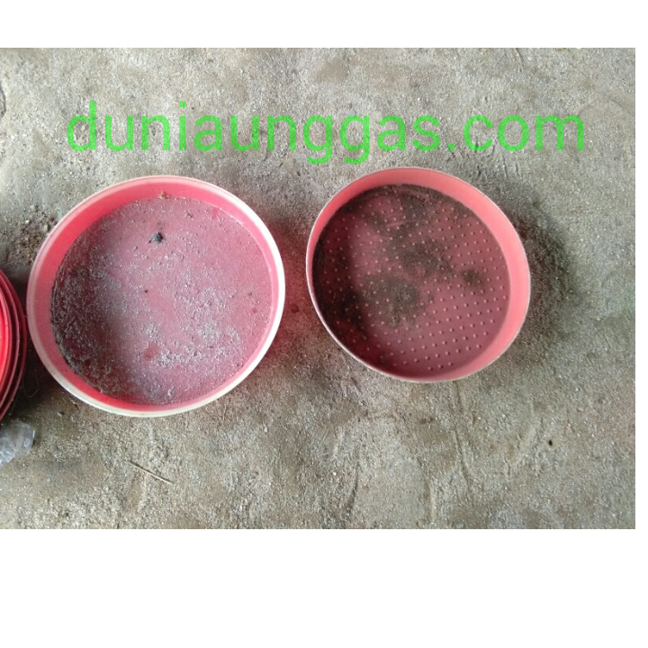 nampan racun lalat