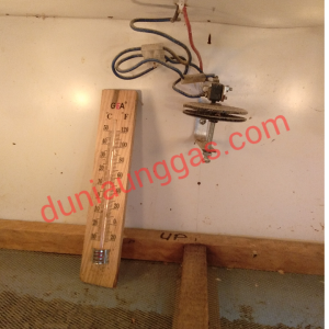 Thermostst Kapsul dan Thermometer Kayu